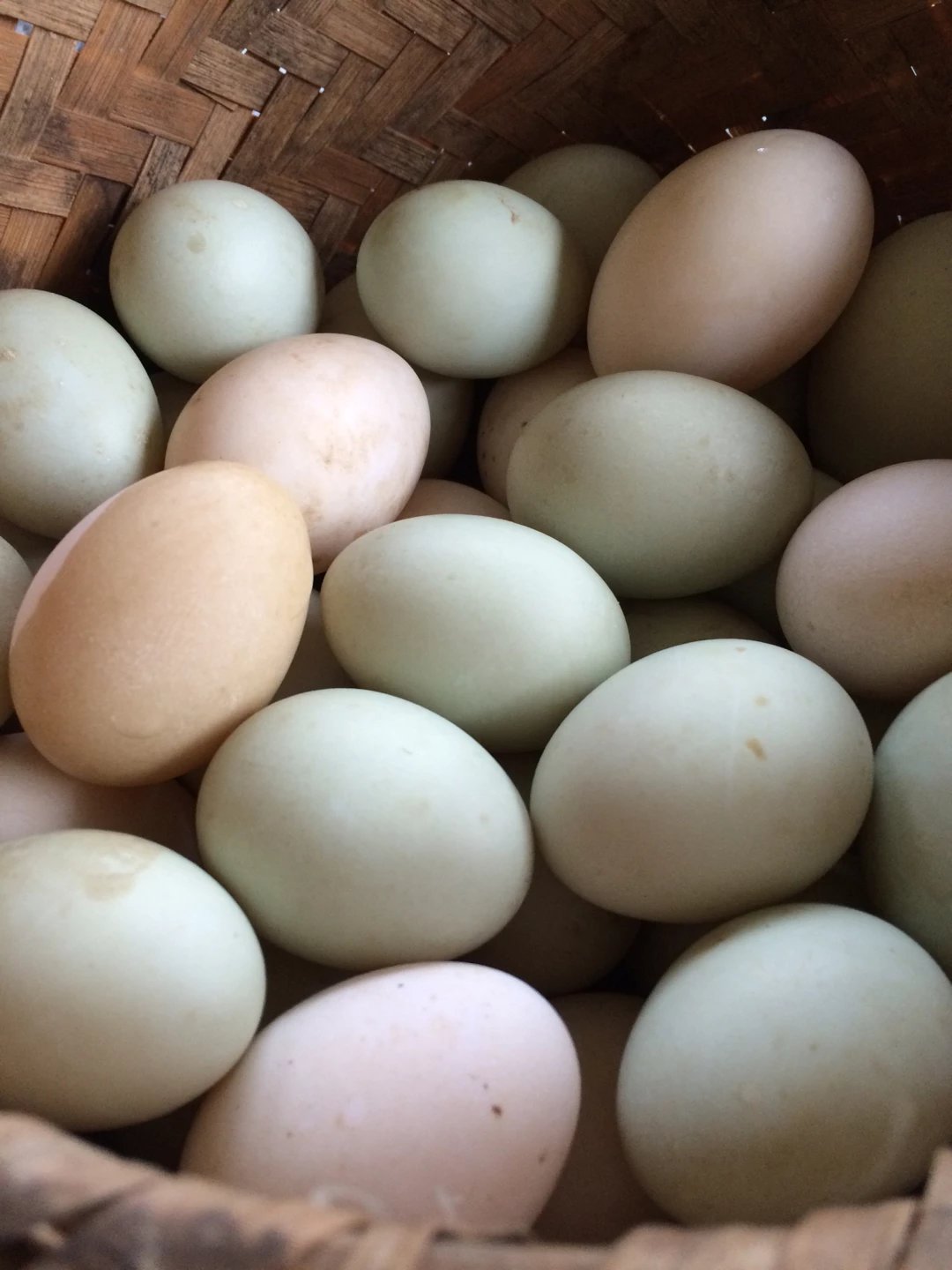 鸭蛋-尚蔬府的鸭子终于生蛋了,没有腌制的,就是生的,咱们的个头可不是