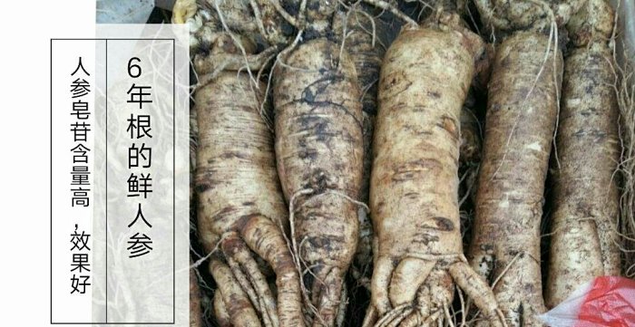 女人容颜不衰的秘密以及夏天吃鲜人参的理由 女人容颜不衰的秘密以及夏天吃鲜人参的理由