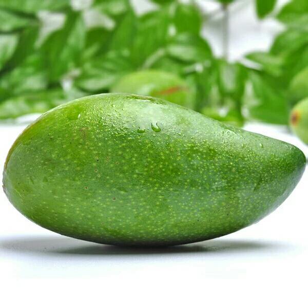 【泰国青芒】发货均为七八成熟,新鲜采摘后经泰国运往云南边境打包