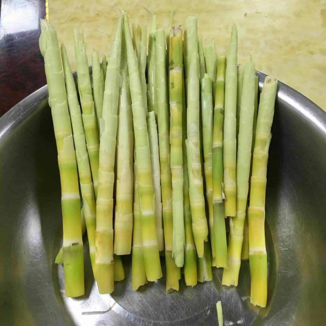 农家野生小春笋1500g