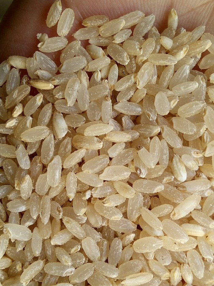 全国首创 开皮糙米 全胚芽米 生态糙米煎饼 全营养 好口味 益众良品生态稻米系列首创独发新品介绍 全国首创 开皮糙米 全胚芽米 生态糙米煎饼 全营养 好口味 益众良品生态稻米系列首创独发新品介绍