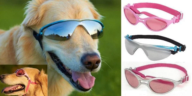 美国代购doggles狗眼镜护目镜宠物用品犬用太阳眼镜 美国代购doggles狗眼镜护目镜宠物用品犬用太阳眼镜