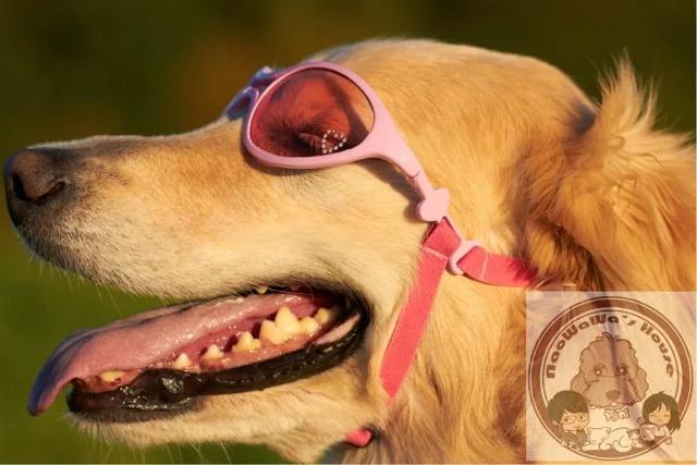 美国代购doggles狗眼镜护目镜宠物用品犬用太阳眼镜