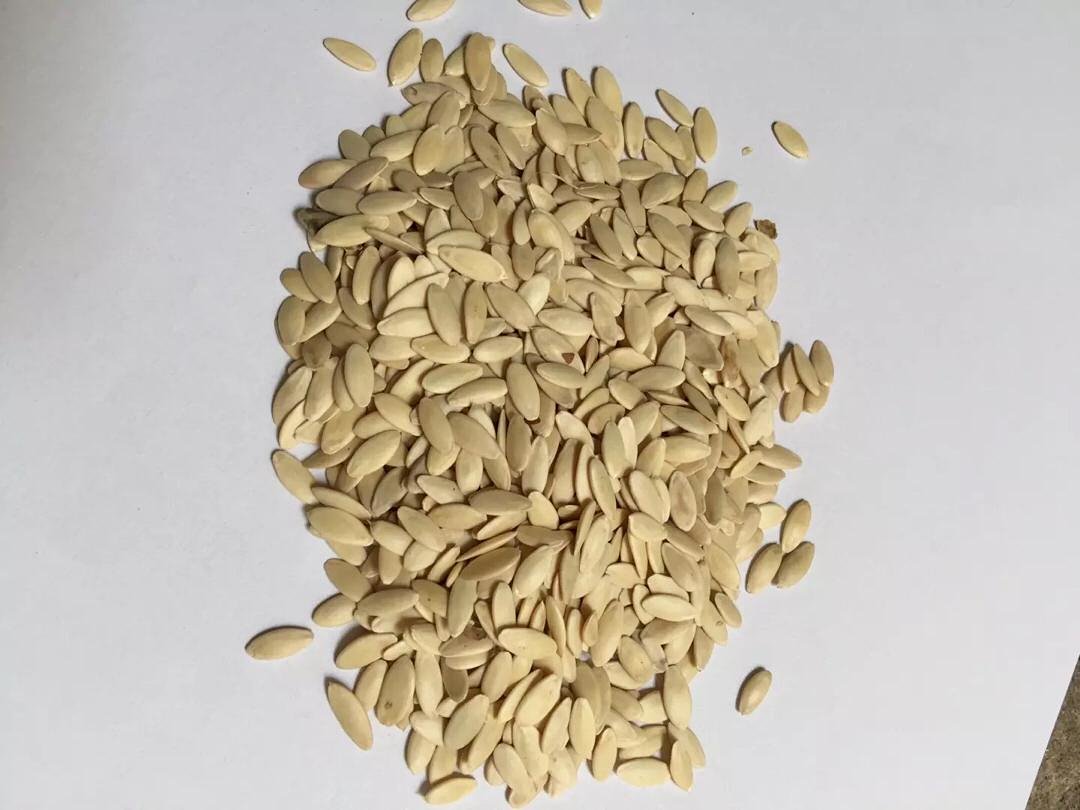 批发养生蔬菜子,品种齐全,黄瓜籽 白生菜子20元一斤 莱菔子10元一斤