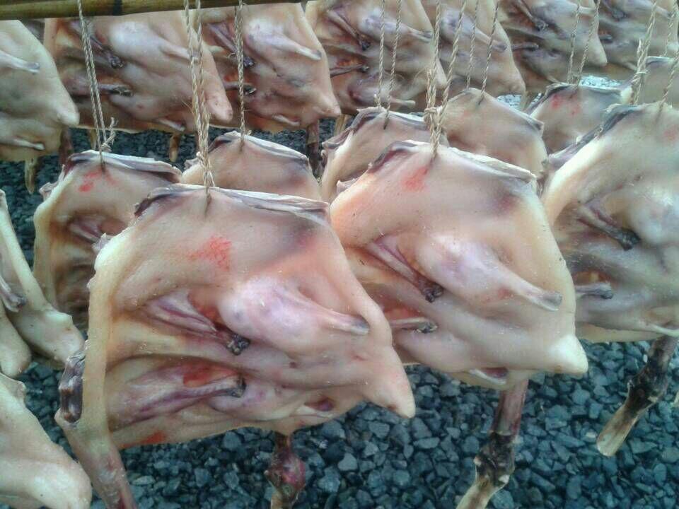 江西特产沙地板鸭