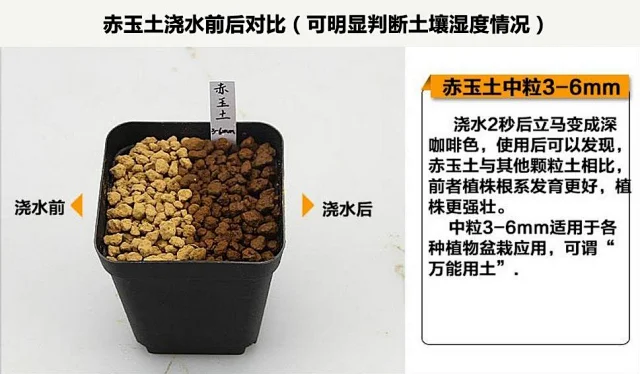 赤玉土 多肉土 原装日本进口二本线硬质多肉营养土赤玉土 3包包邮单独装箱发货