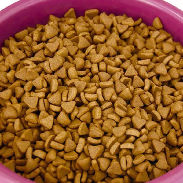 专柜狗粮 麦顿金典牛肉米饭成犬狗粮(10kg/袋)【送礼品】犬主粮