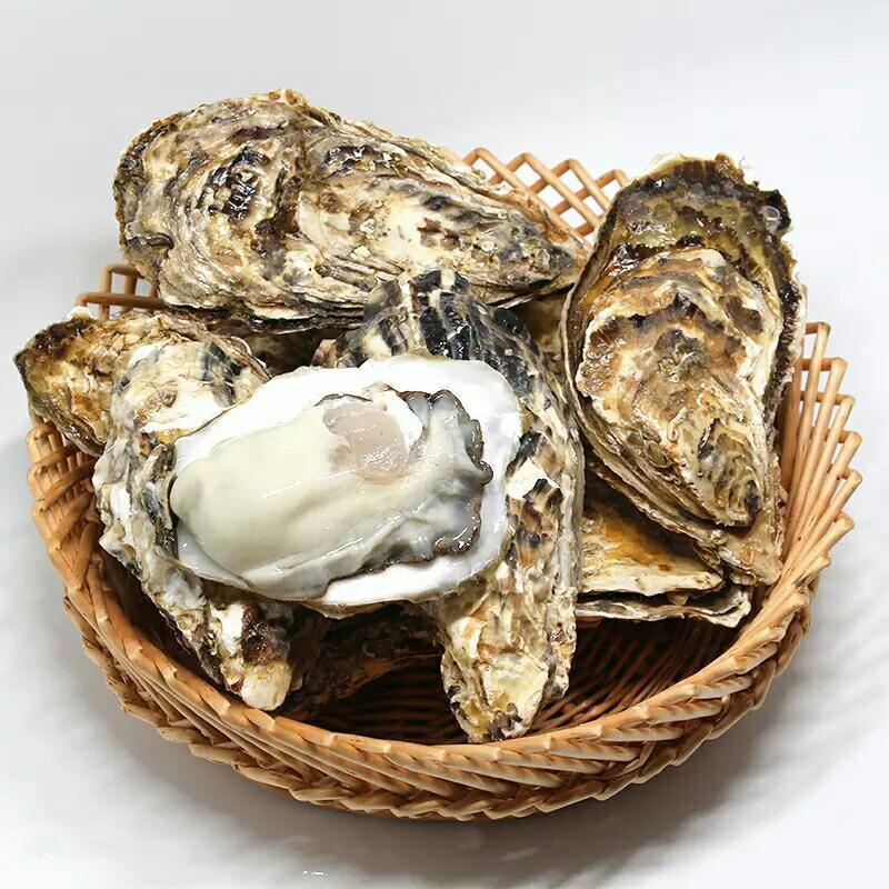 贝类海鲜批发市场：传统与现代交织的发展趋势