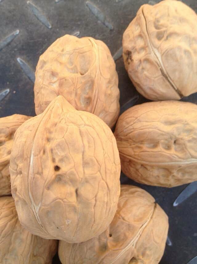 核桃它爷爷,核桃王500g