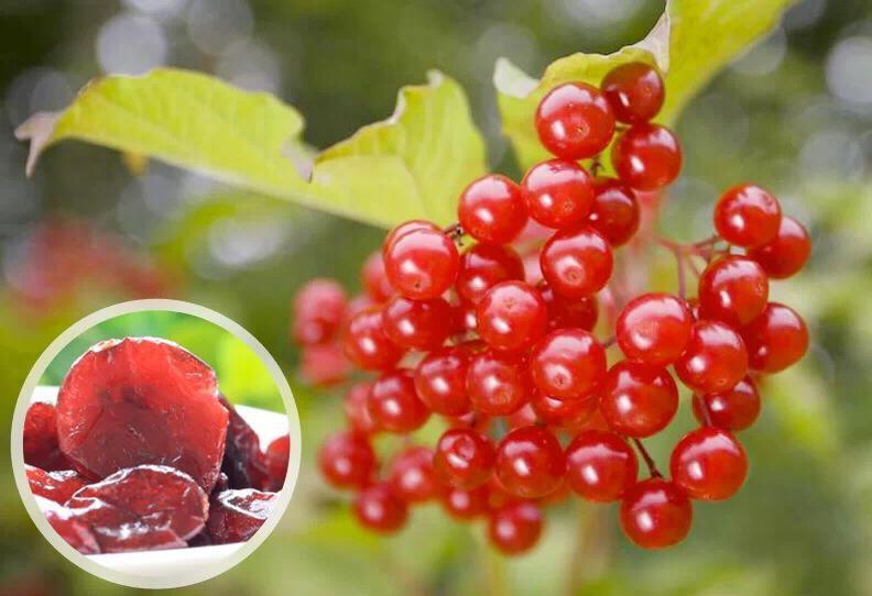 新疆干果 美国原产休闲零食进口果干饼干原料蔓越莓干半颗150g*3包邮