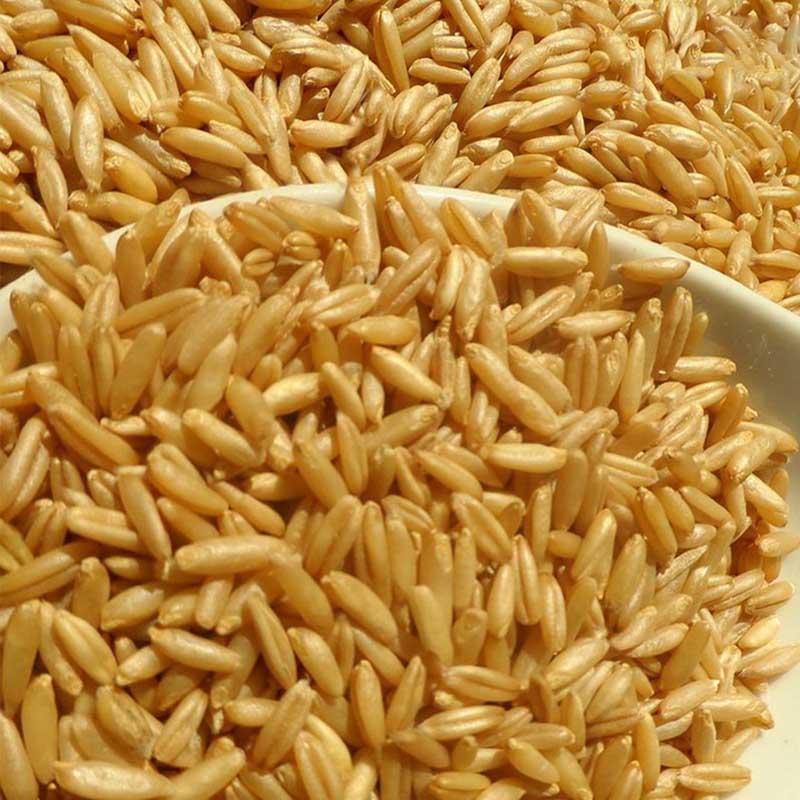 五台山 农家有机燕麦米 燕麦仁 裸燕麦 莜麦米粒片五谷杂粮500g