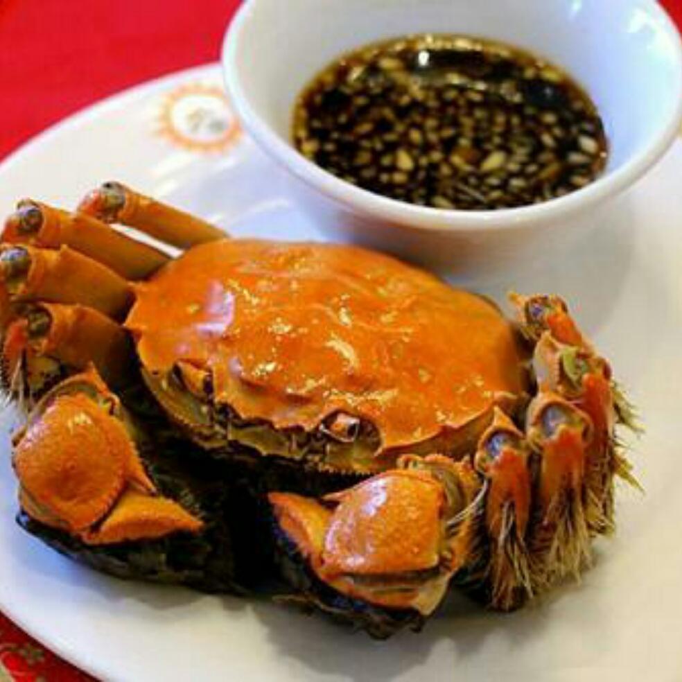 桤木河湿地公园美食图片