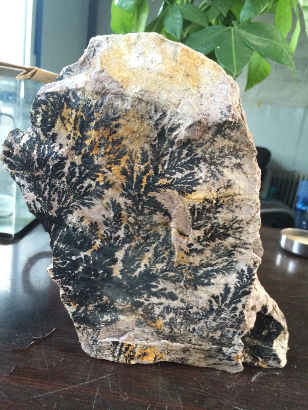 纯天然树枝石高二十五公分