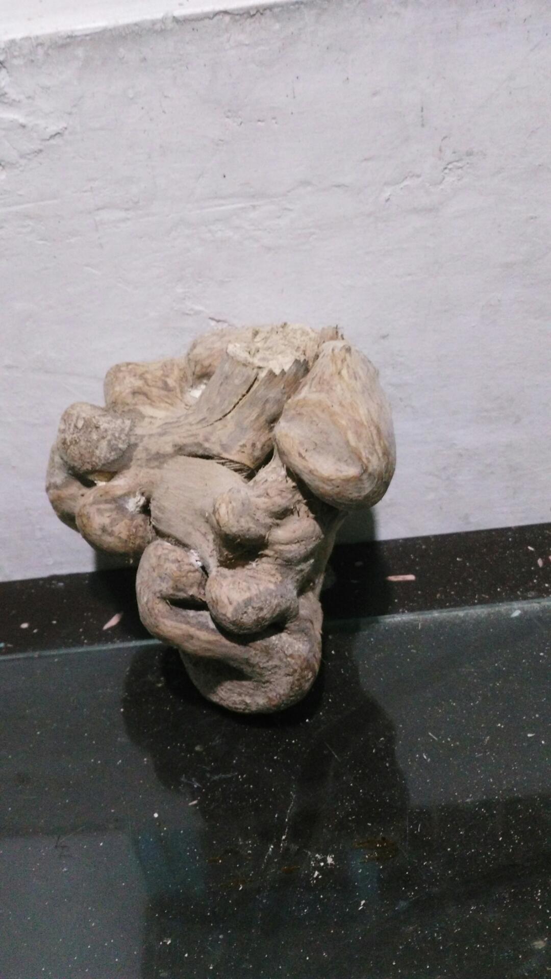 五十几年的茶树根瘤原品,实物拍摄,照片未渲染处理