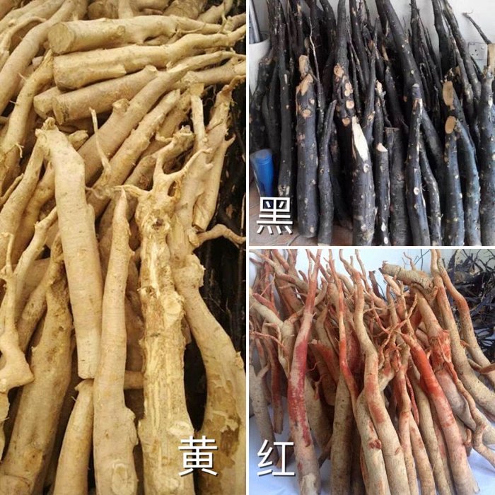 马来西亚野生东革阿里 原根原片及提取精华胶囊