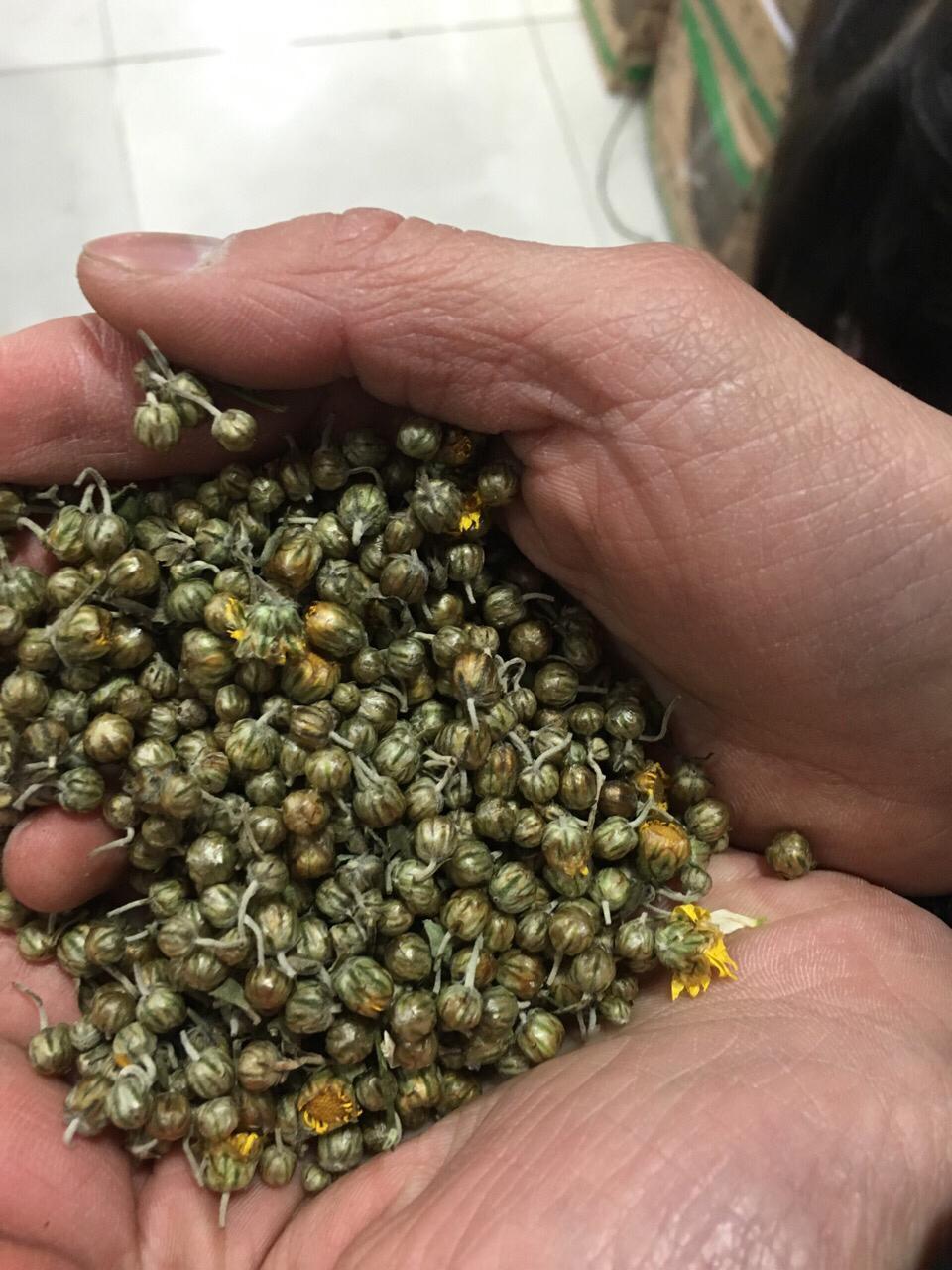 野生菊米500克180元其菊米是浙江省遂昌县具有悠久历史的传统文化名优