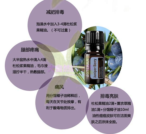 杜松浆果 juniper berry