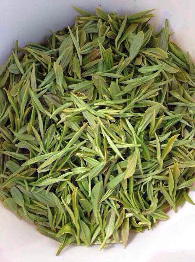 斯宅高山茶为于诸暨市东白湖里四村香榧公园南园!新茶上市,要的预定!