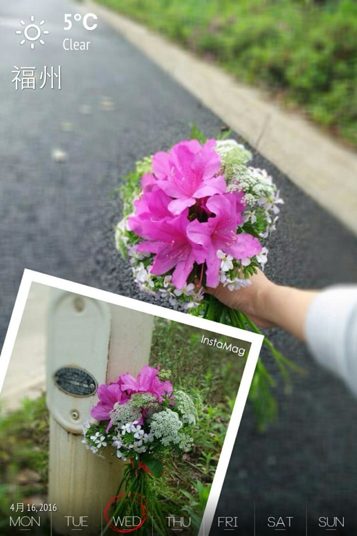 一场春雨后 她亮了 四月 当季野花小花束 一场春雨后 她亮了 四月 当季野花小花束