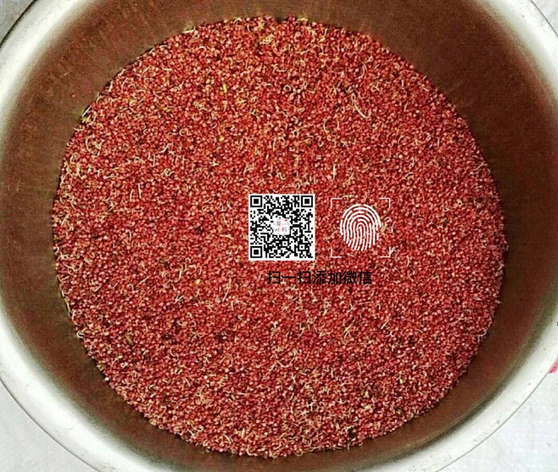 涨姿势 梨花必须人工授粉才结果