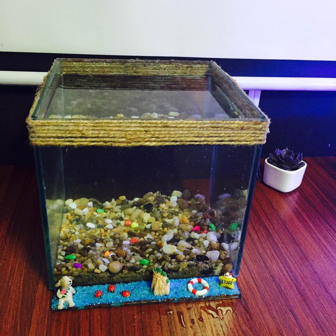 个性 创意鱼缸 纯手工制做 独家