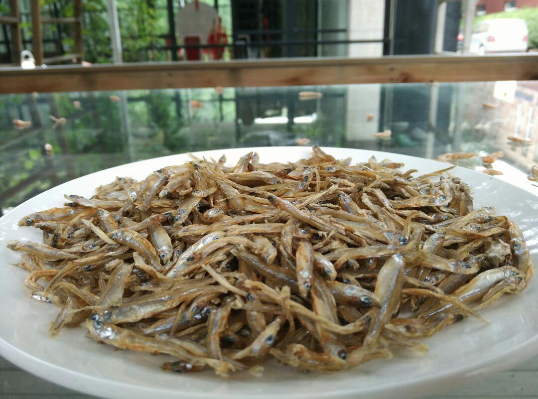 洞庭湖迷你小鱼仔, 从不哗众取宠,却可以在第一眼的目光交汇,第一次的