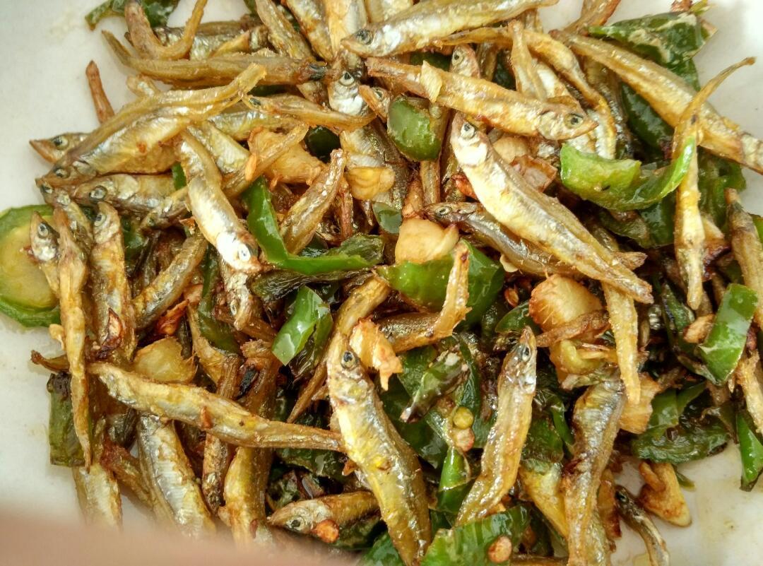 洞庭湖迷你小鱼仔, 从不哗众取宠,却可以在第一眼的目光交汇,第一次的