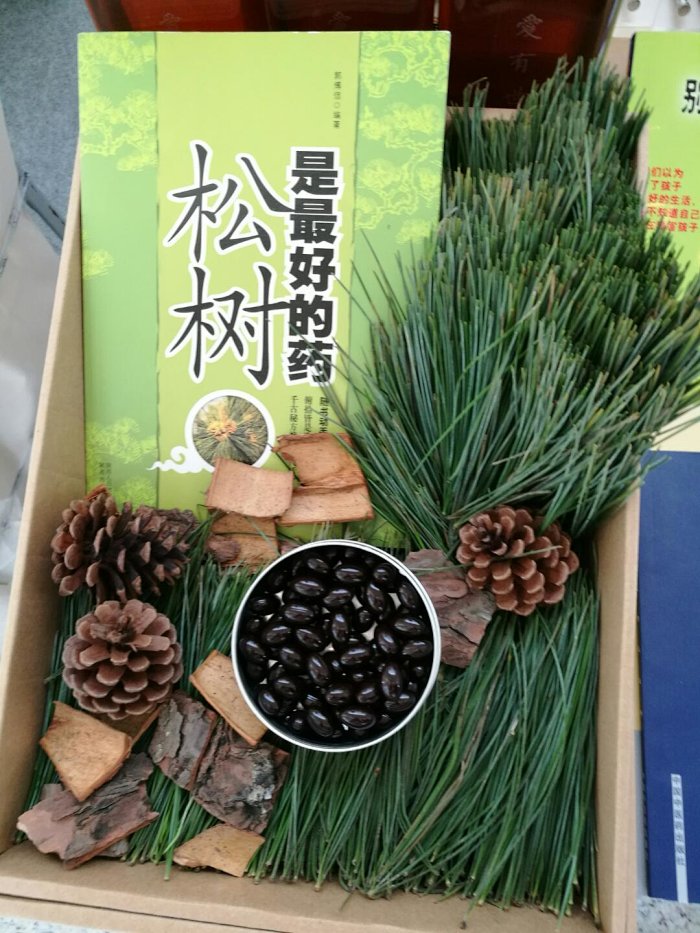生幼堂 海岸松精华丸 产品介绍 生幼堂 海岸松精华丸 产品介绍