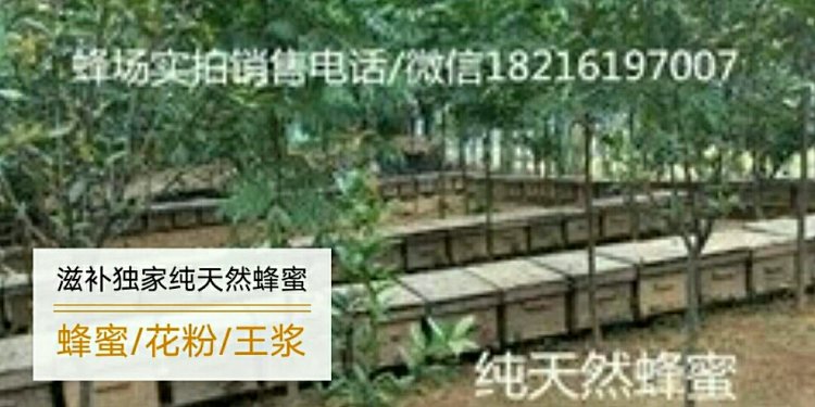一介蜂农蜂产品专卖店