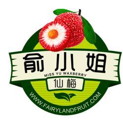 【待上市】仙居杨梅 高山杨梅 纯天然 6斤装(毛重10斤)新鲜健康绿色