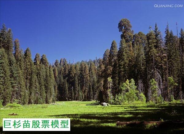 巨杉苗是什么 就是海选未来之 巨杉 的量化投资模型 巨杉苗是什么 就是海选未来之 巨杉 的量化投资模型