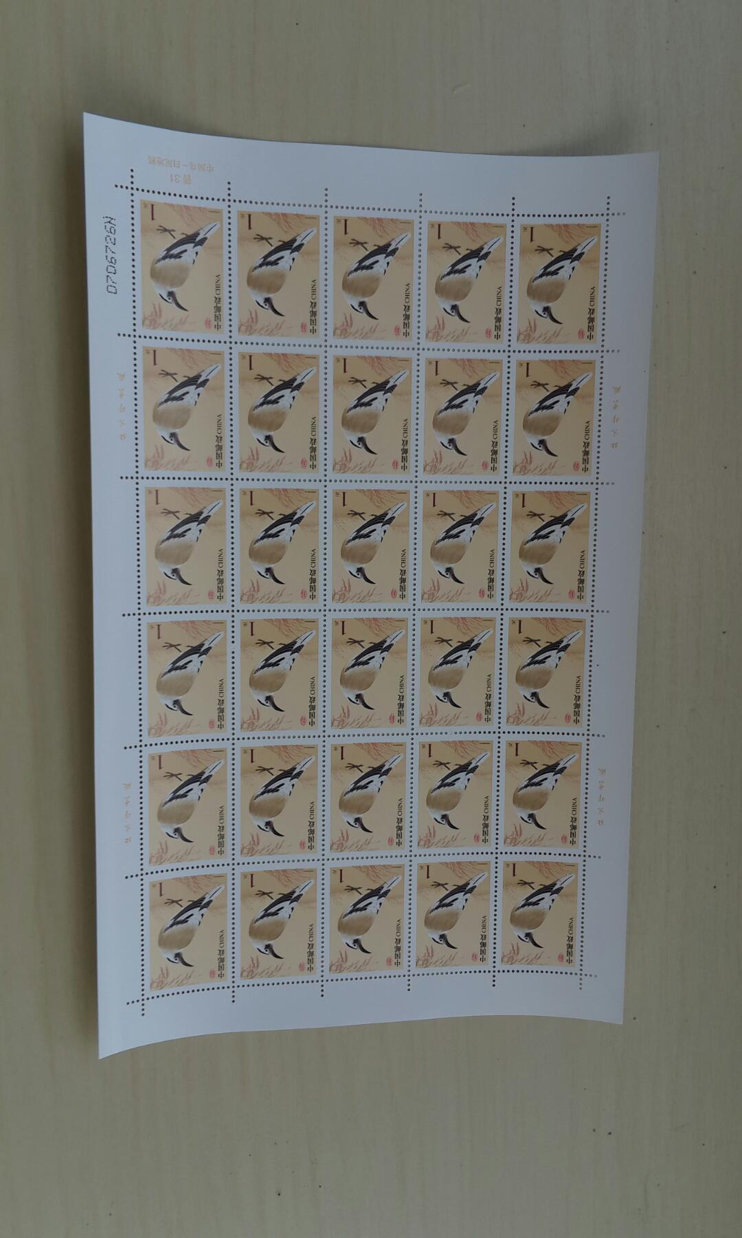 普31中国鸟之白尾地鸦大版 完整版,原胶全品无背戳,上市品种,一直受