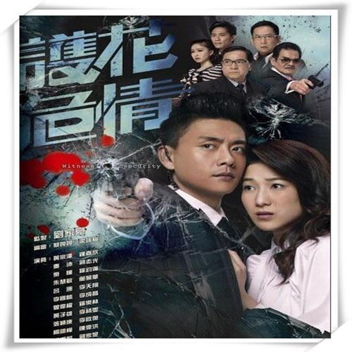 經典2012tvb港劇《護花危情》電視劇20集全集國語粵語下載影片店主親