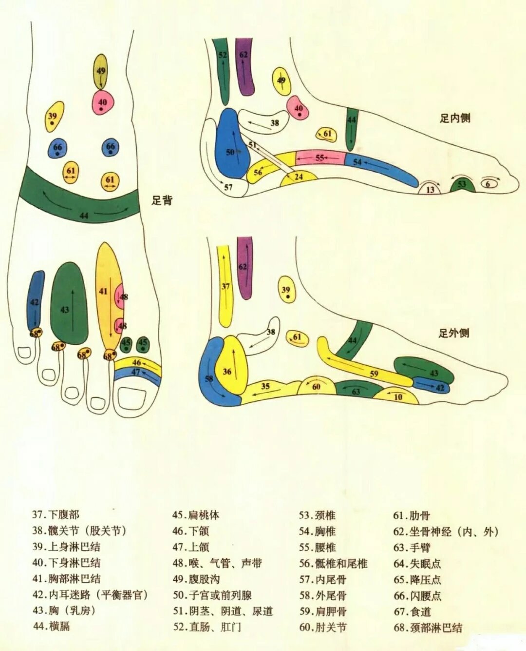 保健按摩 - 穴位大全