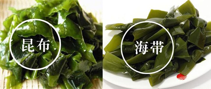 昆布与海带的区别 昆布与海带的区别
