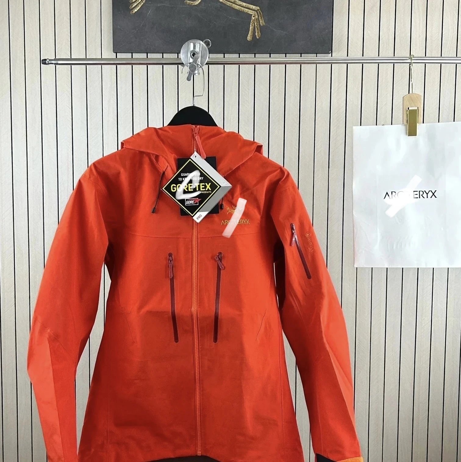 SV Dynasty Red