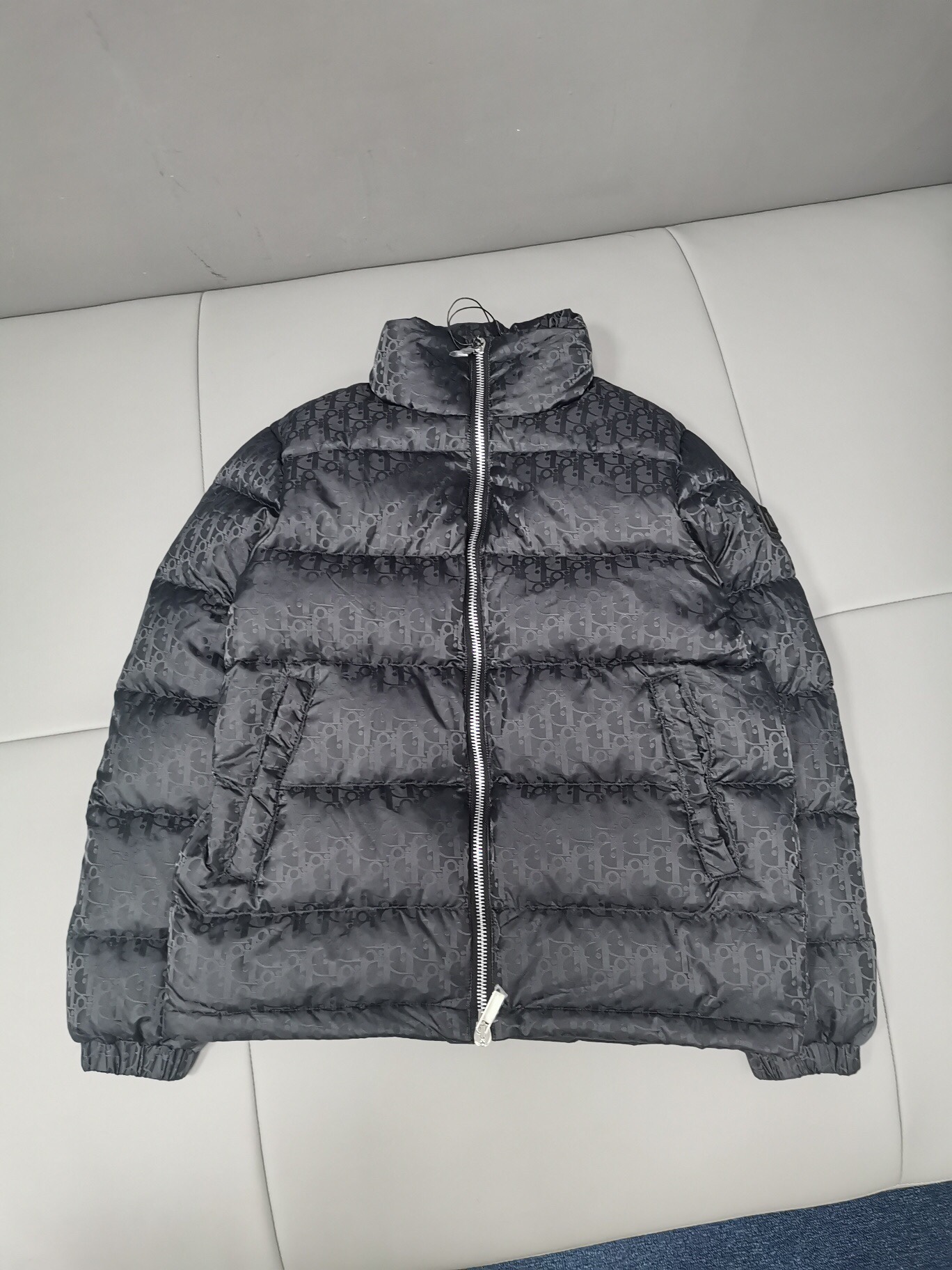 Dior Oblique Down Jacket