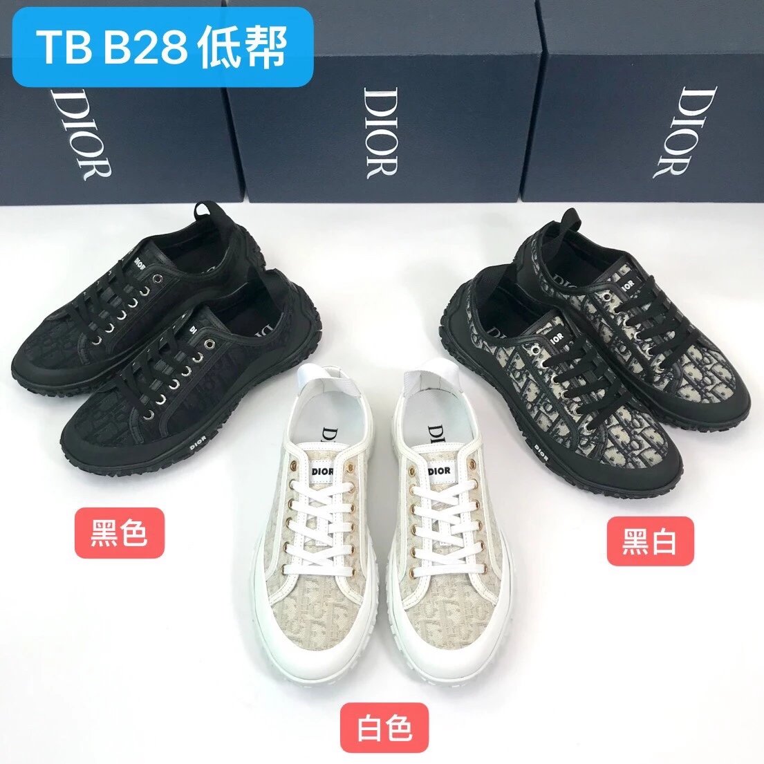 Dior Oblique Low Top Sneaker
