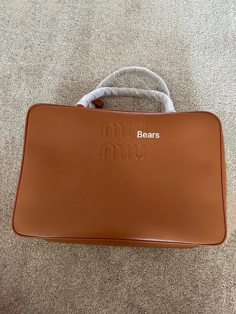 Bag from Bears