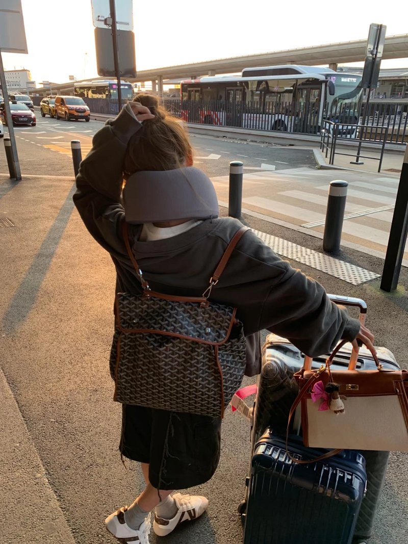 Goyard backpack