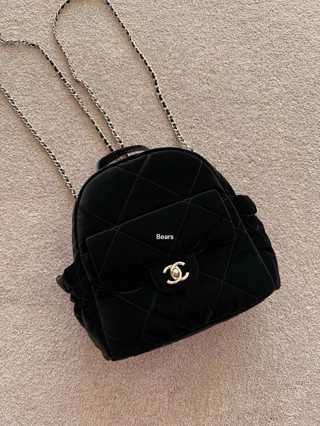 Backpack from Bears