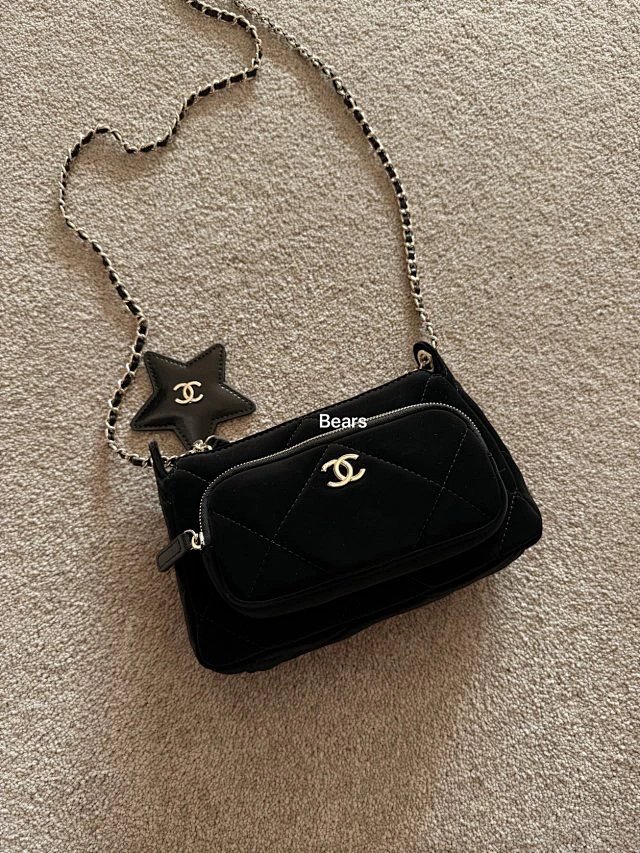 Camera bag from Bears
