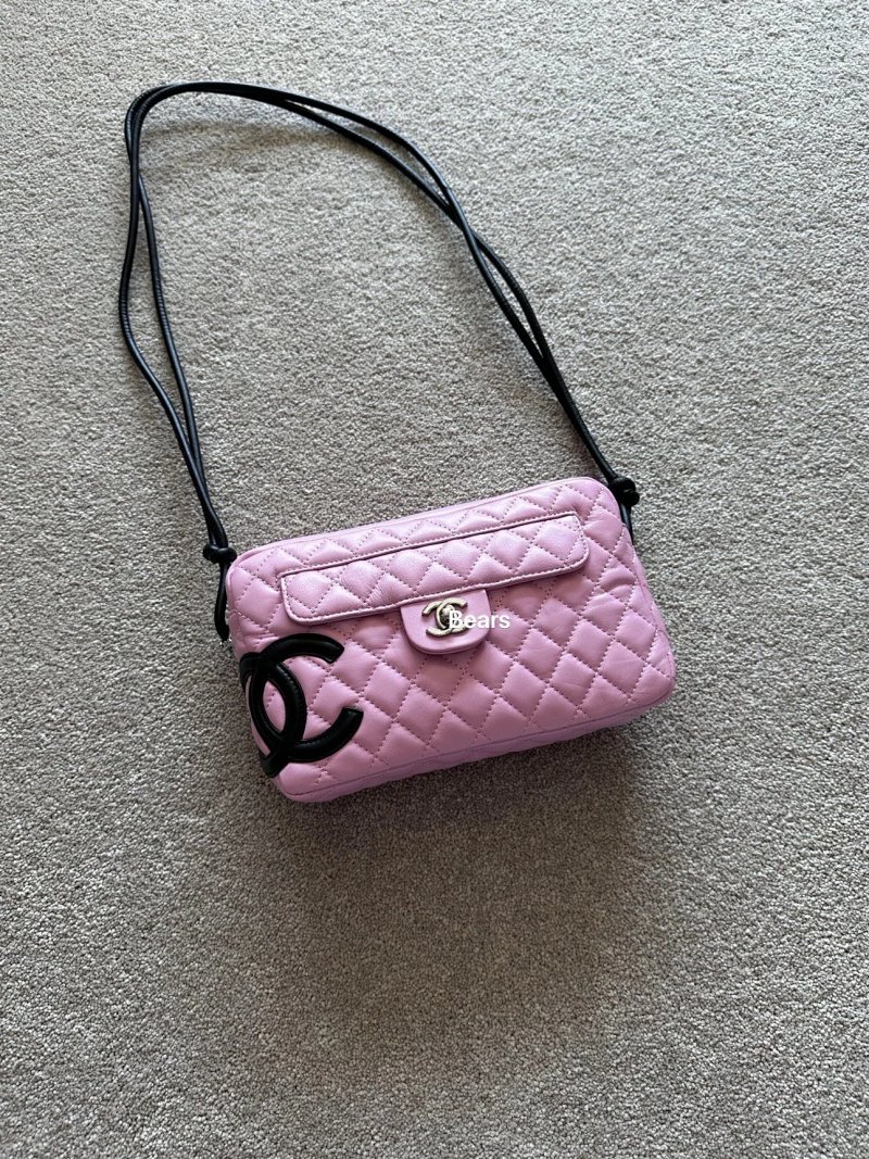 Camera bag from Bears
