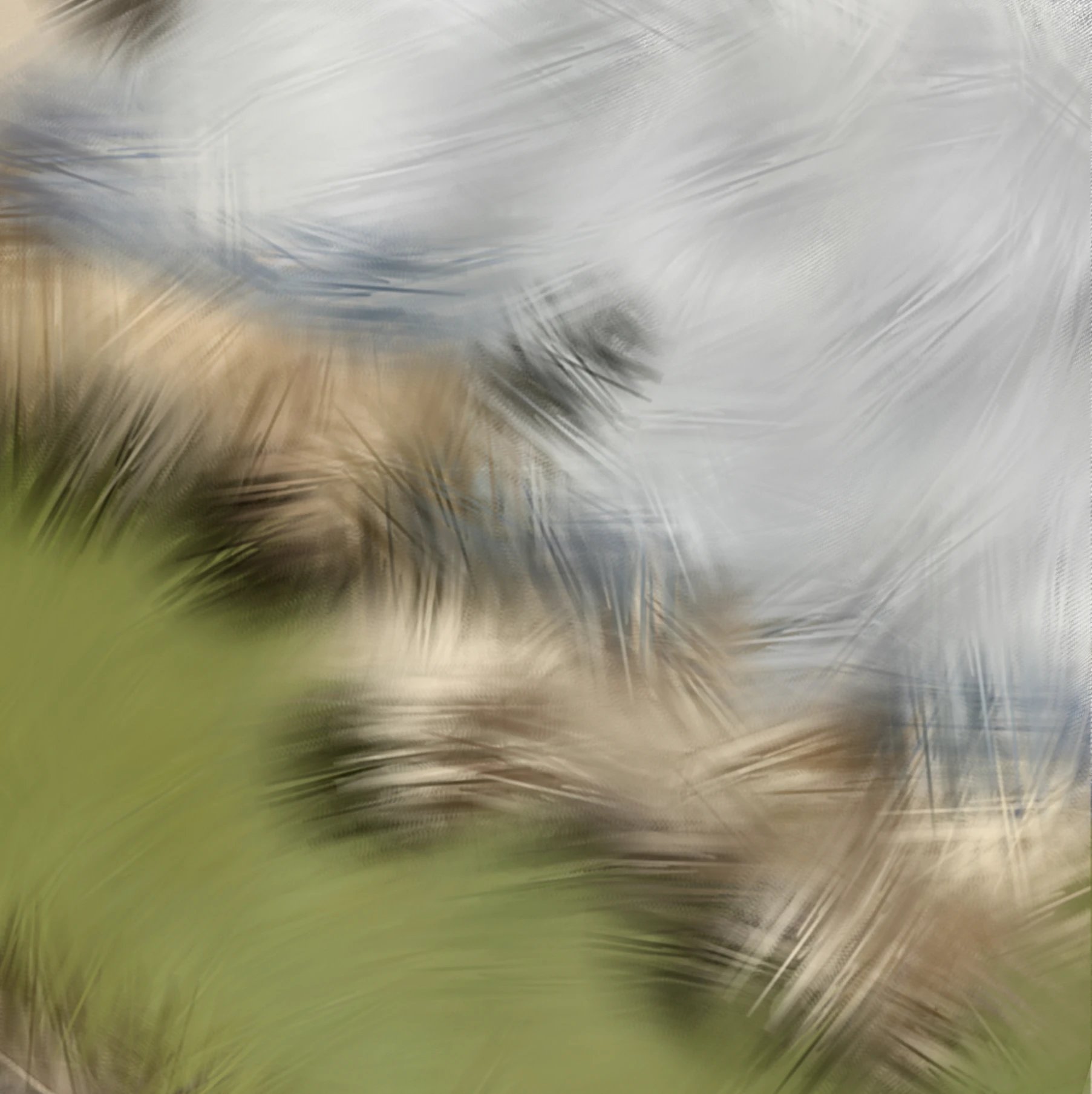 illustrative color