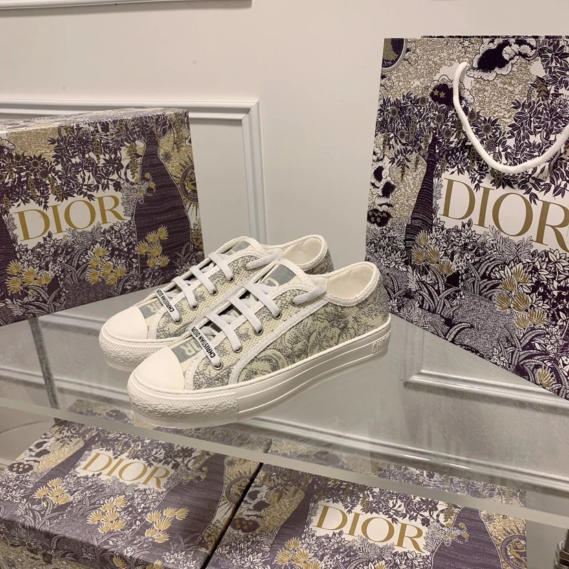 Dior Sneakers Walk'n'Dior low-top canvas — gray tiger
