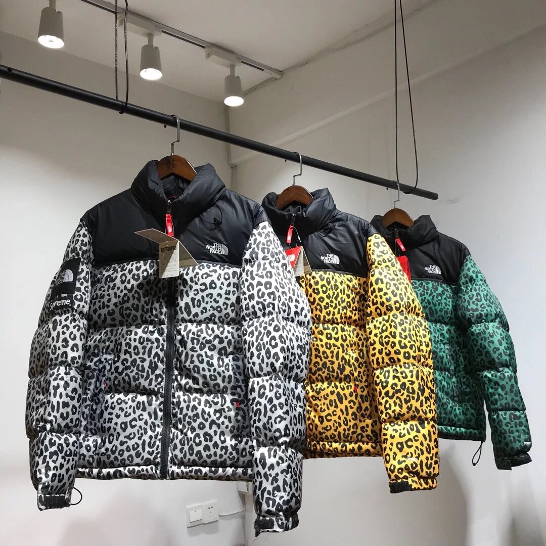 Supreme x The North Face 11FW Leopard Print Down Jacket