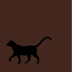 Black Cat MADE