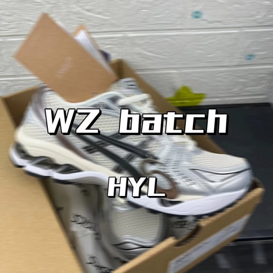 Budget Batch Gel-Kayano14