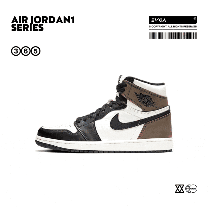 Air Jordan 1 AJ1