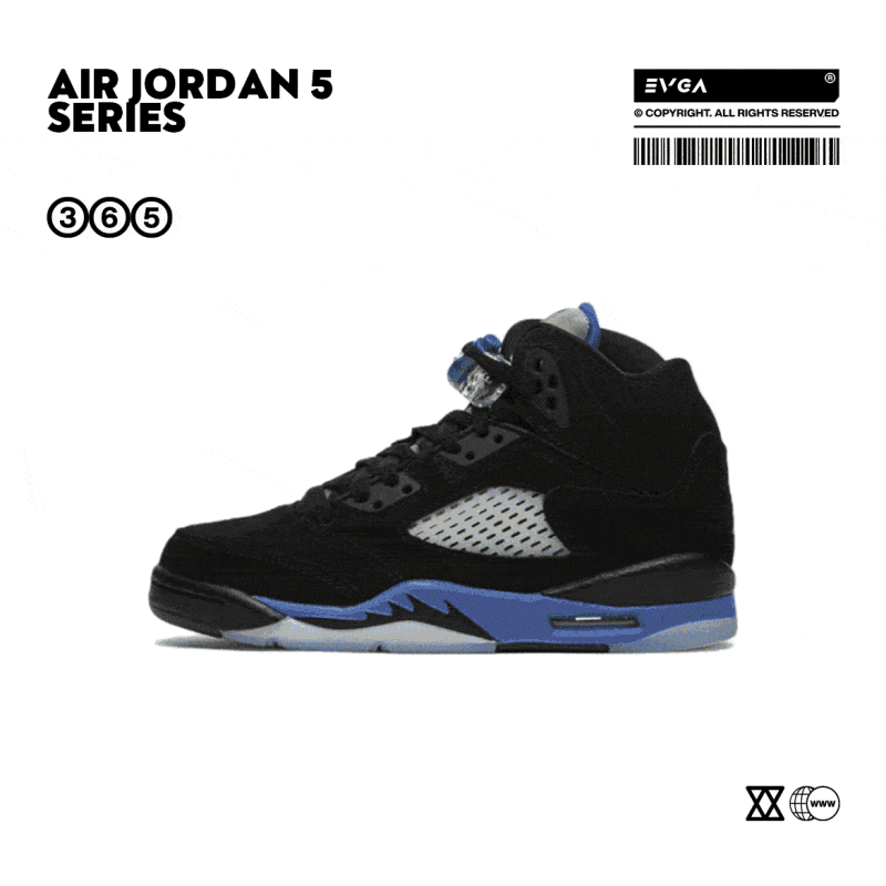 Air Jordan 5 AJ5